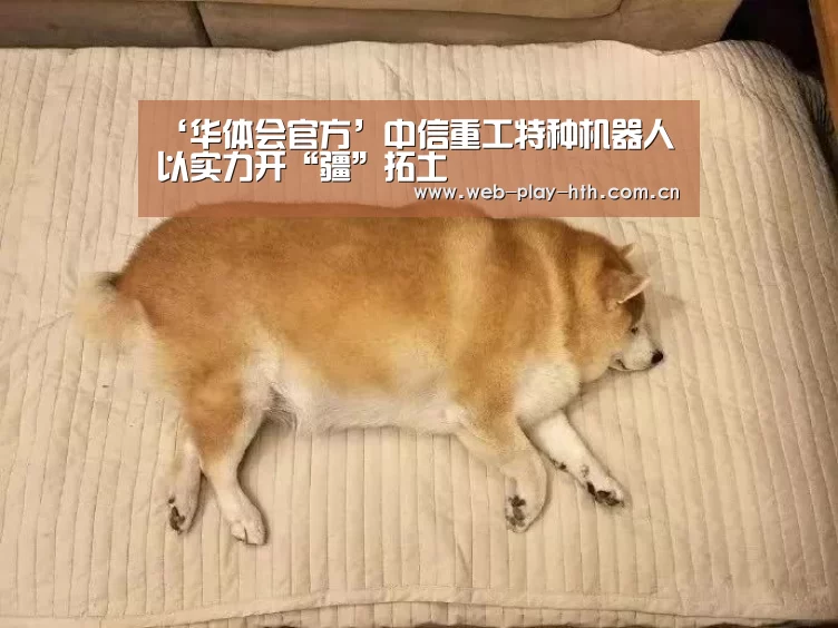 华体会官方
