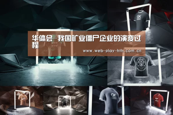 华体会-我国矿业僵尸企业的演变过程(图1) 华体会官网