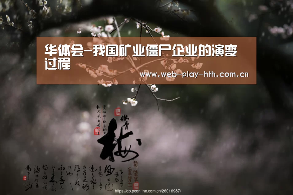 华体会-我国矿业僵尸企业的演变过程(图2) 华体会官网