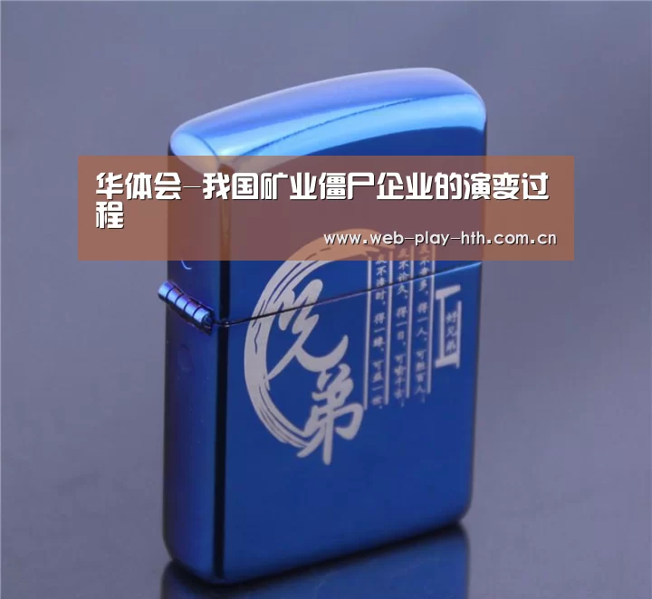 华体会-我国矿业僵尸企业的演变过程(图4) 华体会官网